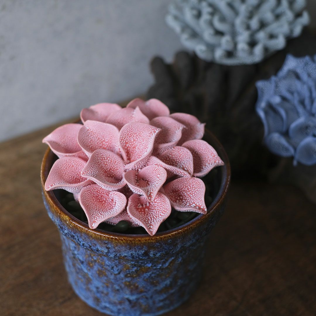 小さな鉢に入れたABYSSALピンクの花オブジェのディスプレイ例3