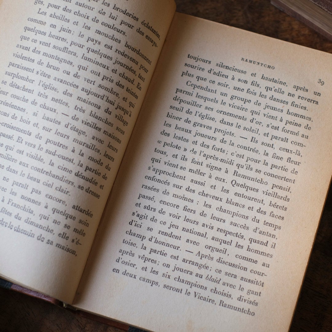アンティークレザーブック 革張りの本 フランス 古書99
