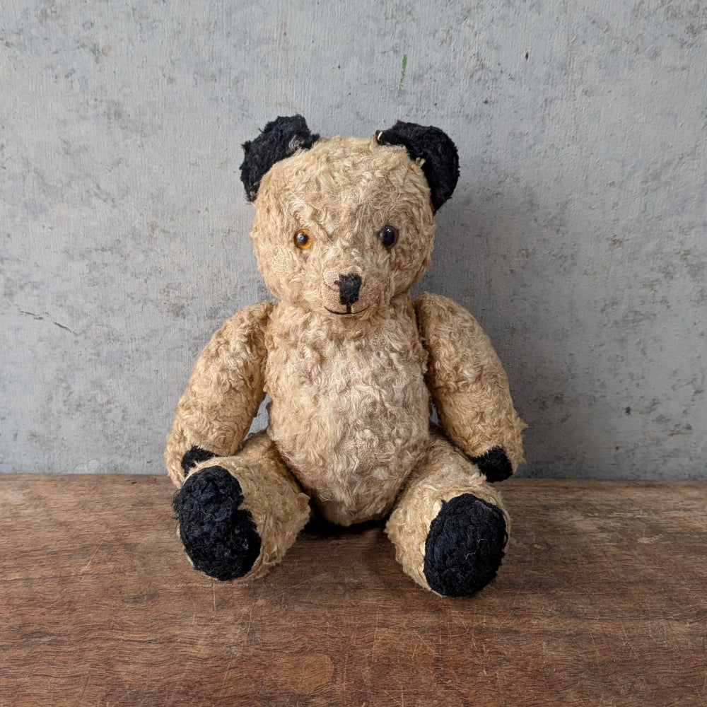 アンティーク テディベア ぬいぐるみ 藁詰め イギリス11