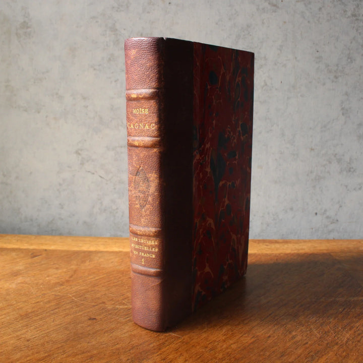 フランスの革装古書 フランス 1900年前後 CAGNAC『Les Lettres spirituelles en France 1』の背表紙とマーブル表紙