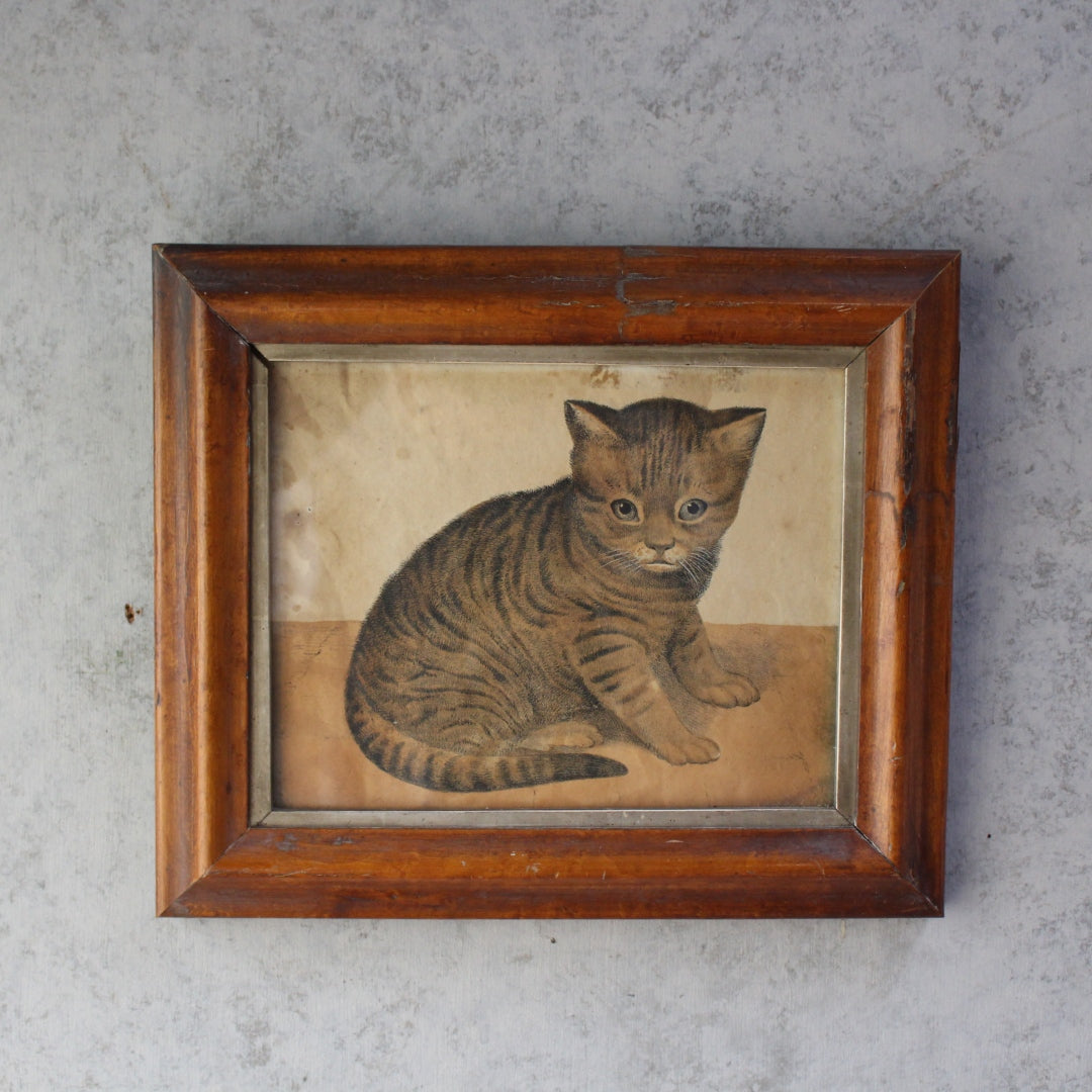1900年代初期フランスのアンティークプリント、木製フレーム入りの子猫画2