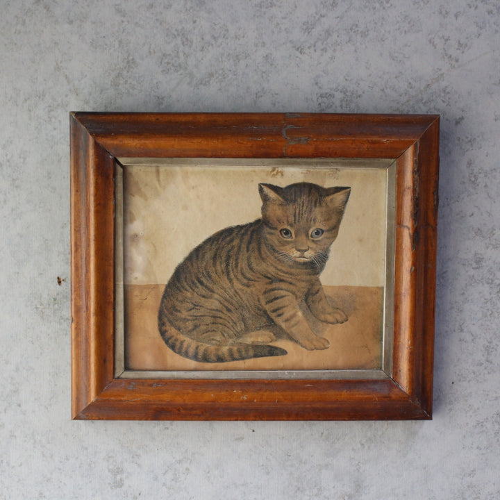 1900年代初期フランスのアンティークプリント、木製フレーム入りの子猫画2