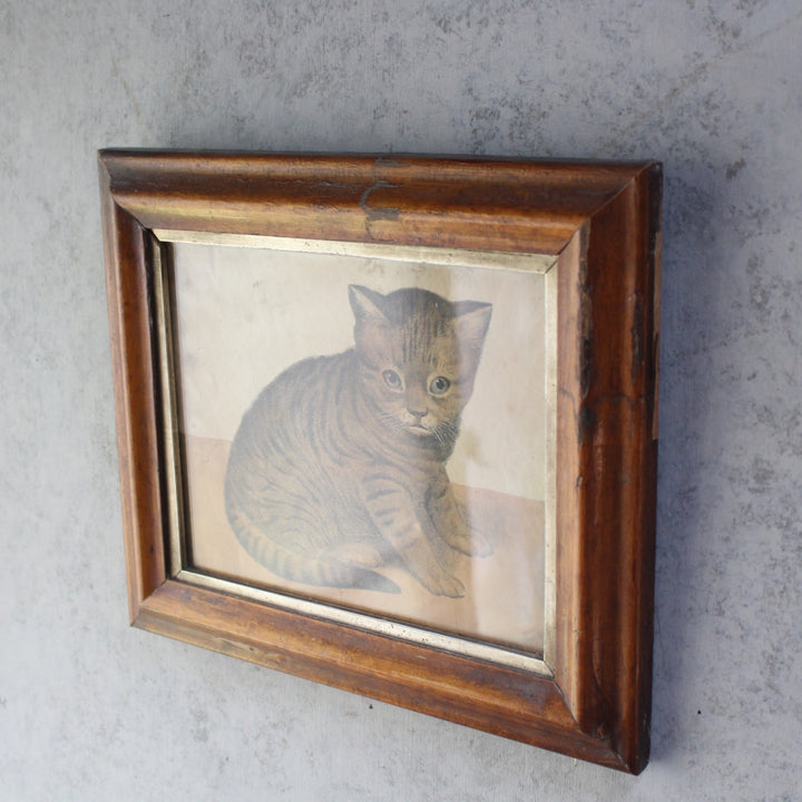 1900年代初期フランスのアンティークプリント、木製フレーム入りの子猫画3
