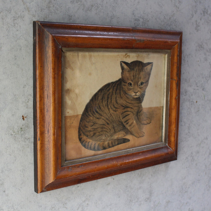 1900年代初期フランスのアンティークプリント、木製フレーム入りの子猫画4