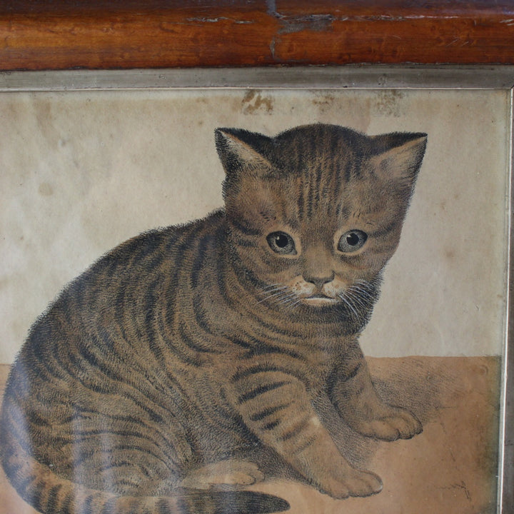 1900年代初期フランスのアンティークプリント、木製フレーム入りの子猫画5
