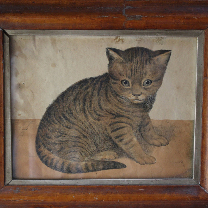 1900年代初期フランスのアンティークプリント、木製フレーム入りの子猫画6