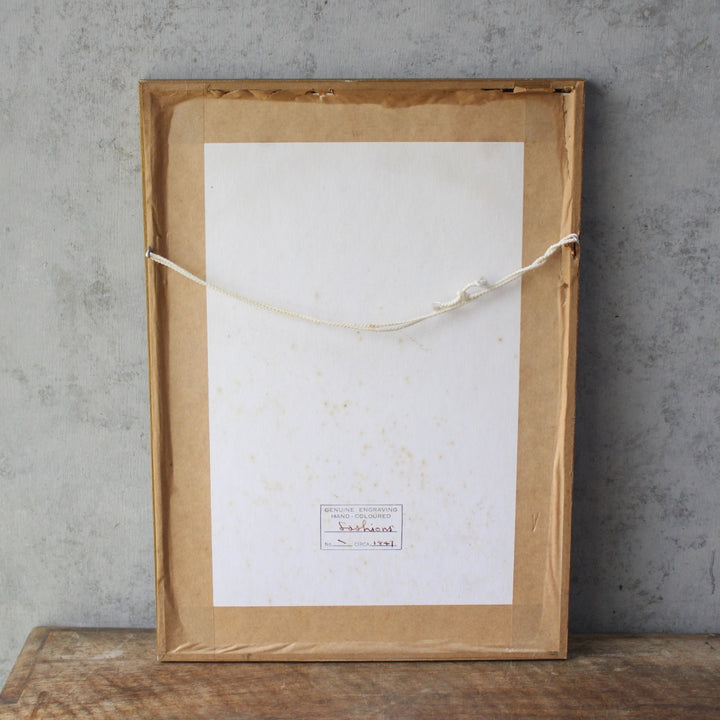 アンティークリトグラフピクチャー ファッション画 Le Moniteur des Dames et des Demoiselles 石版画絵 1847年 フランス