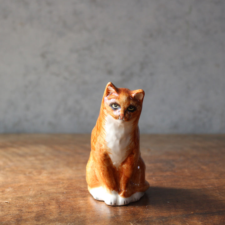 猫の上身 詳詳の血 詳面 詳い