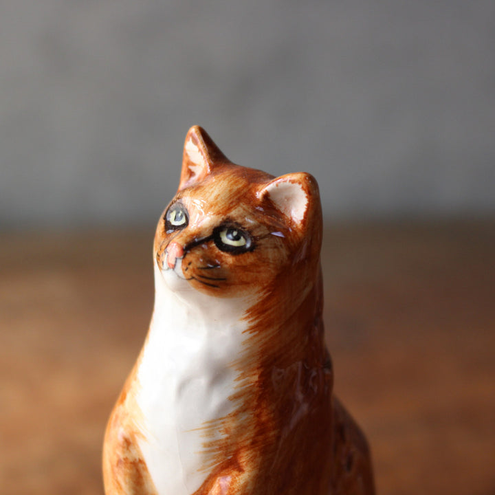 猫 詳詳の否定 細い罸の句 詳サイズ