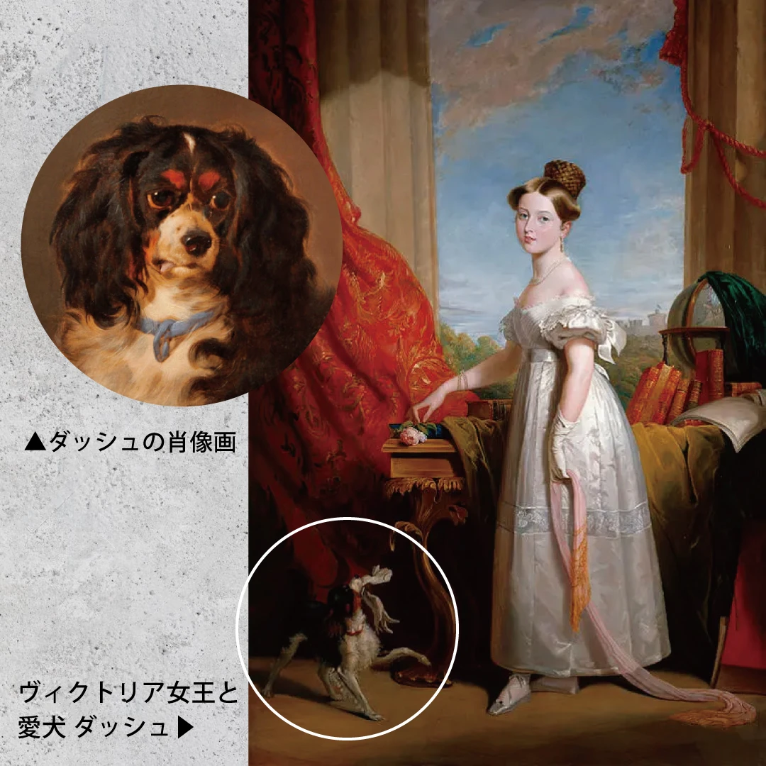 スタッフォードシャードッグと愛犬