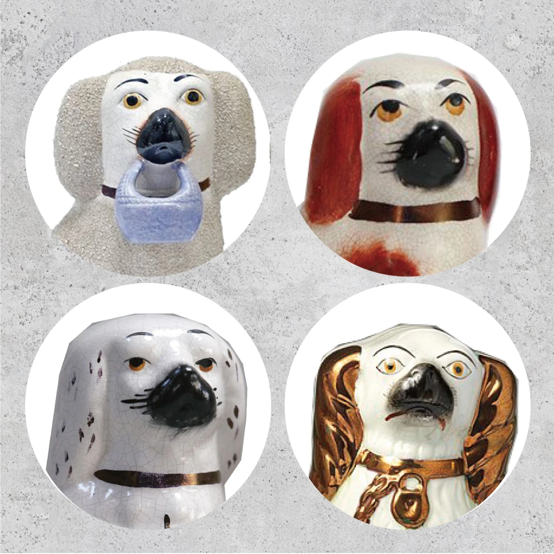 スタッフォードシャードッグの顔