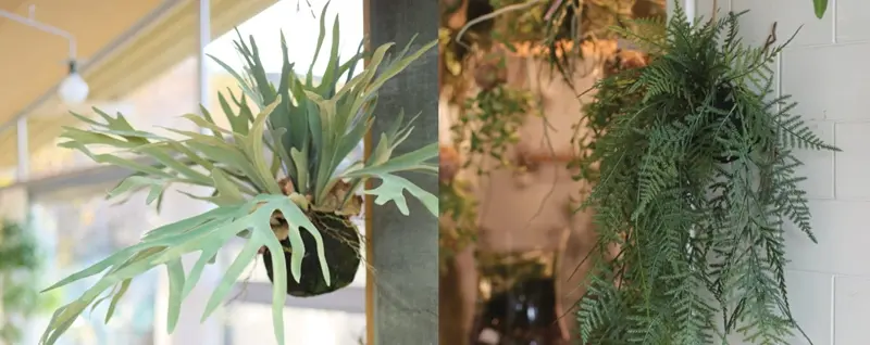 ドライフラワー・造花