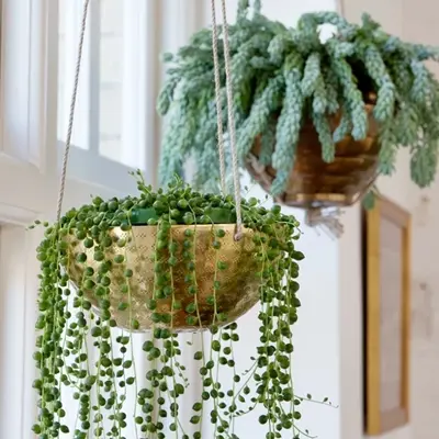 ガーデニング雑貨のお店 MALTO