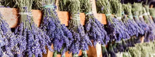 ドライフラワーと造花