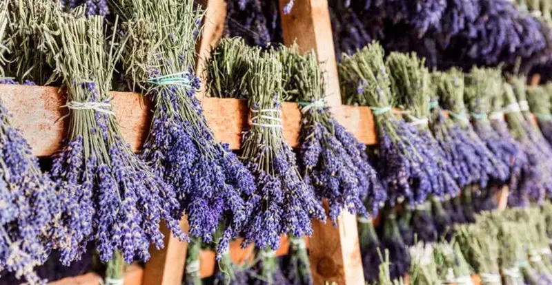 おしゃれなドライフラワー