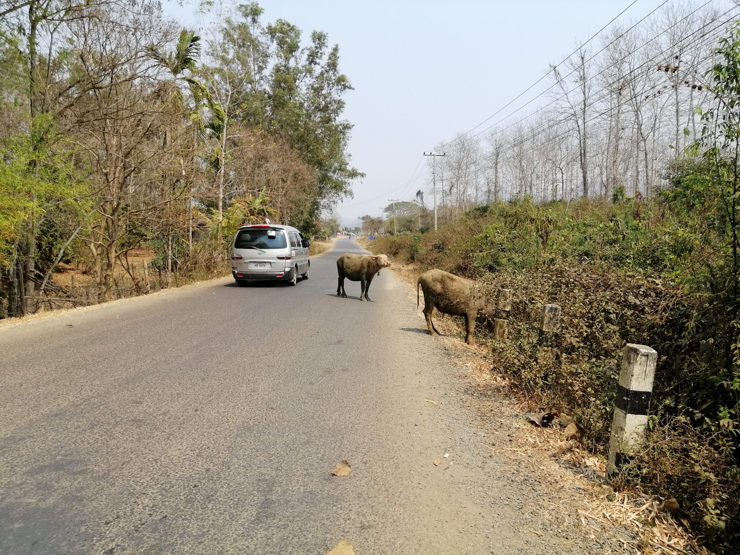 ラオスの道路