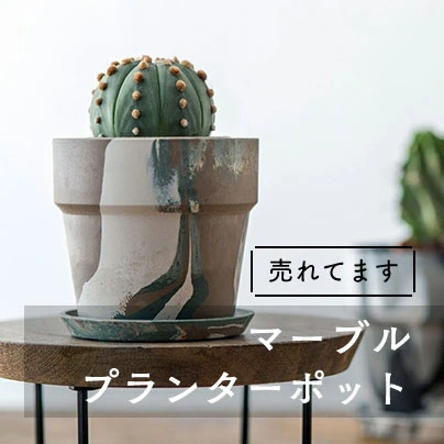 j-me カクタス ワインラック サボテン イギリス製 おしゃれな