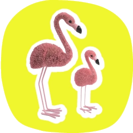 “たわしのフラミンゴ"